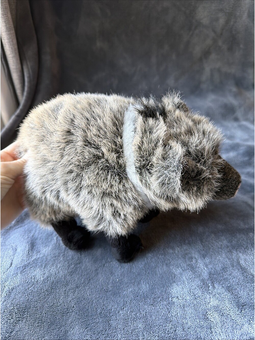 Zoona Mini Javelina Peccary Wild Boar Pig Stuffed Animal Plush Toy 6”